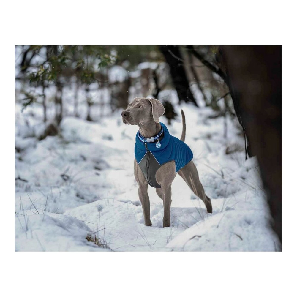 Manteau pour Chien Red Dingo Puffer Turquoise 50 cm