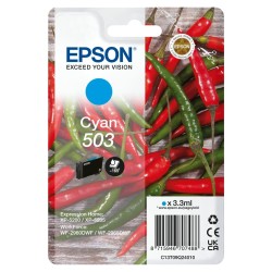 Cartouche d'encre originale Epson C13T09Q24020 Noir