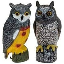 Repeller EDM 06078 polypropylene Ø 19 x 40 cm Birds Owl