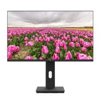 Écran V7 L238V0-HAS-E Full HD 23,8"