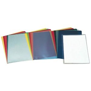 Organiser Folder Esselte Transparent Din A4