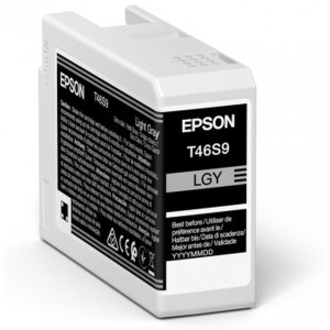 Cartouche d'encre originale Epson C13T46S900 Gris