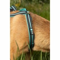 Dog Harness Olympia S