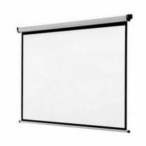 Wall Screen iggual PSIMS200 (200 x 200 cm)