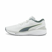 Chaussures de Running pour Adultes  Aviator Sky Puma Blanc