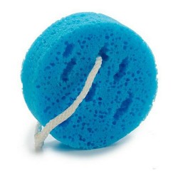 Body Sponge