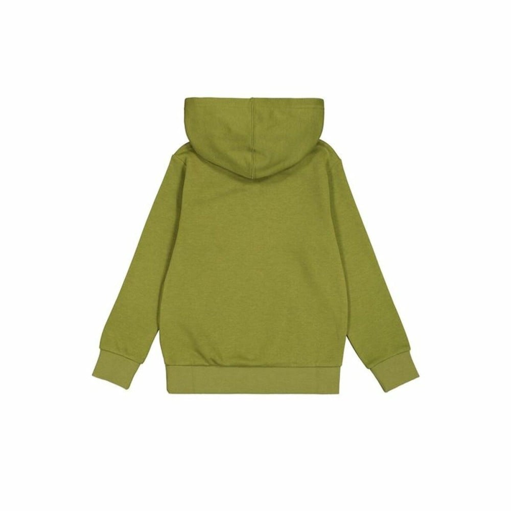 Sweat à capuche homme Champion Vert