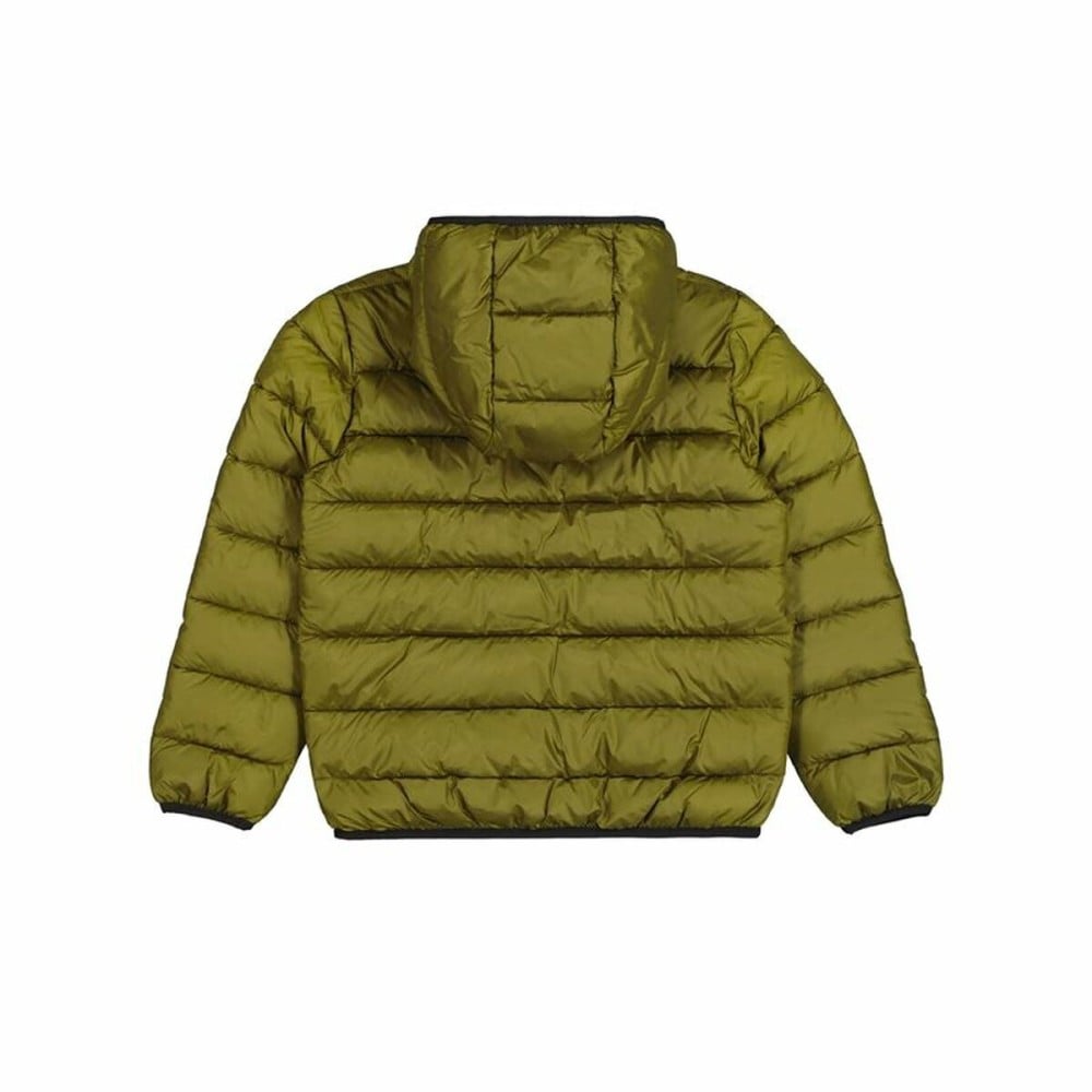 Veste de Sport pour Homme Champion Hooded Vert