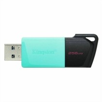 Clé USB Kingston Exodia M Noir 256 GB