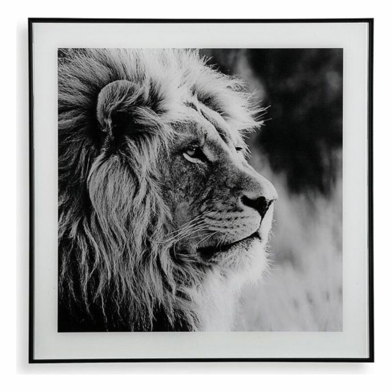 Painting Versa Lion Crystal 2 x 50 x 50 cm