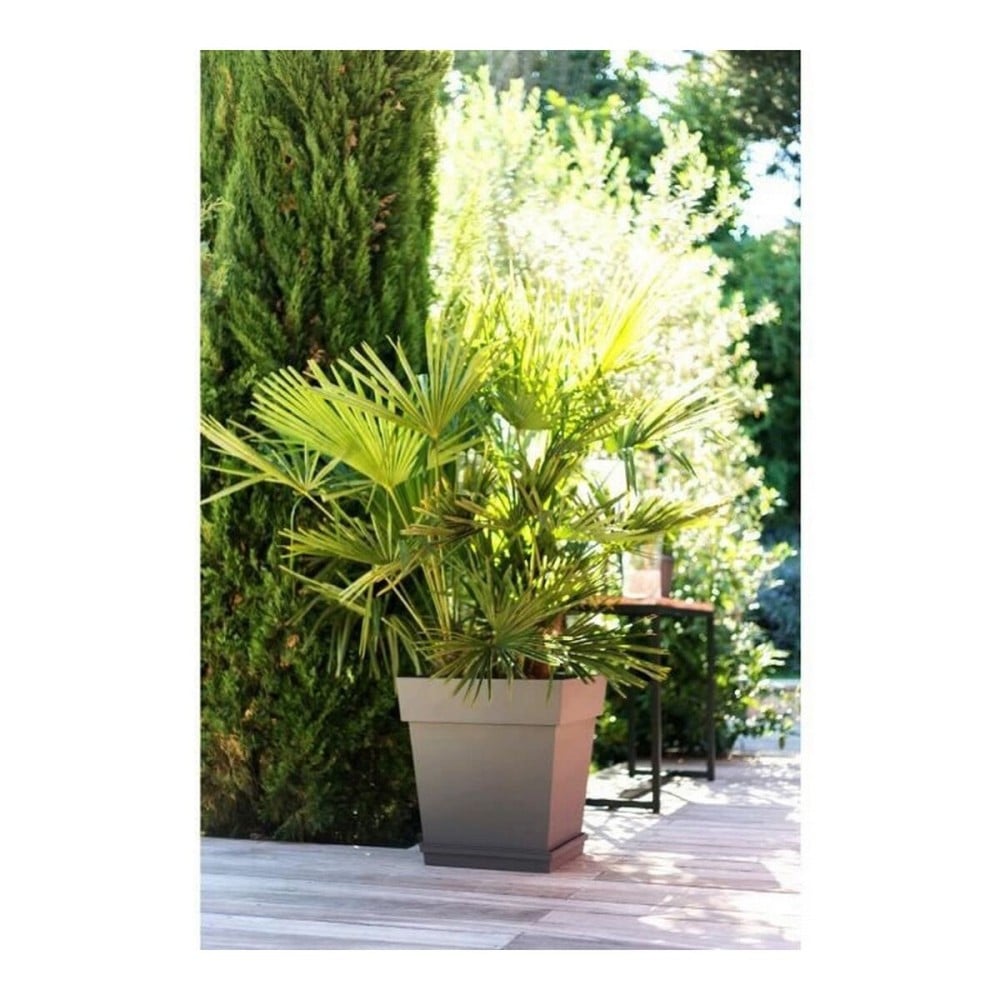 Plant pot EDA Tuscan Taupe Plastic Squared Ø 50 cm (49,5 x 49,5 x 52,5 cm)