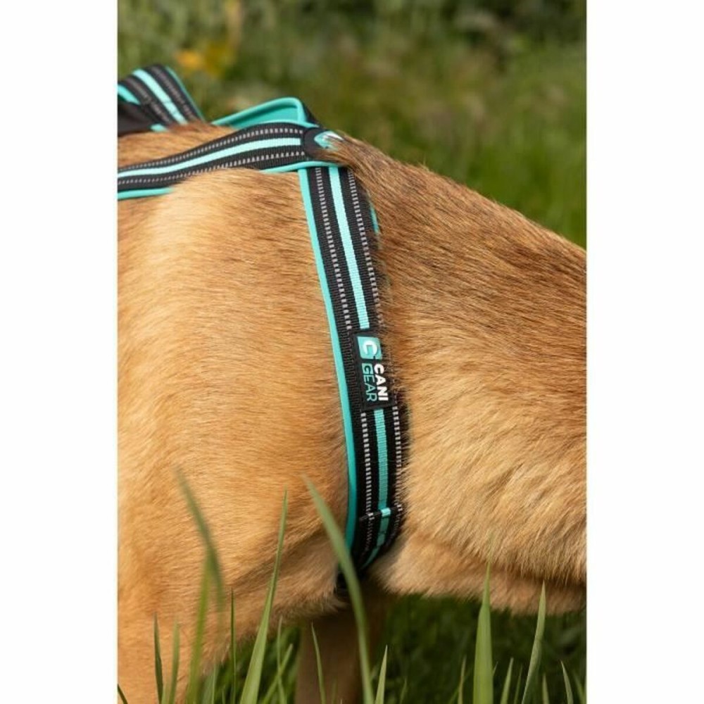 Dog Harness Olympia XS