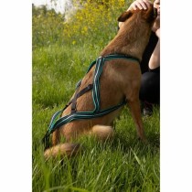 Dog Harness Olympia XXS