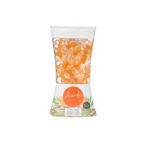 Désodorisant Acorde F-612 Orange Gingembre 150 g Gel (12 Unités)