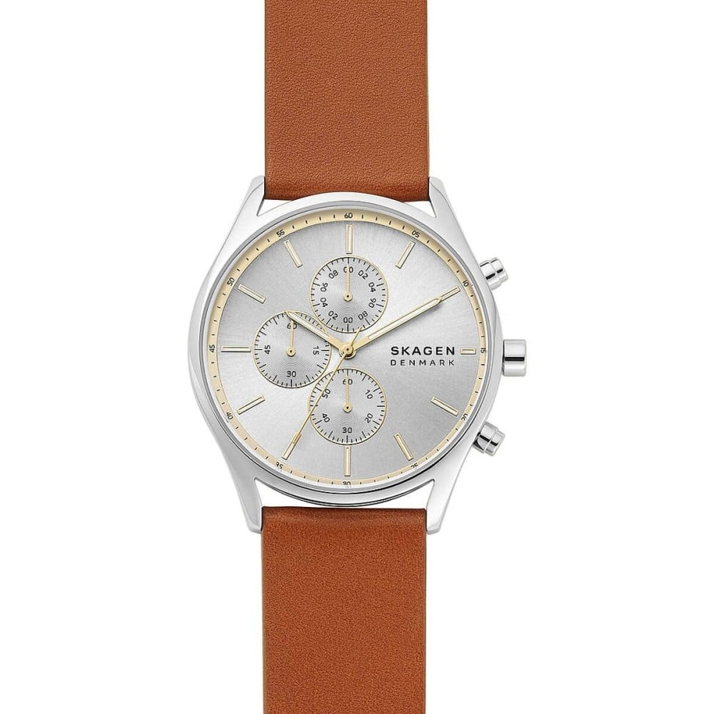 Montre Homme Skagen HOLST