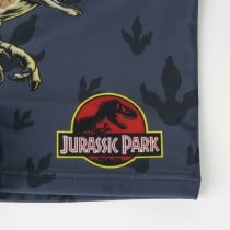 Jungen-Badeshorts Jurassic Park Dunkelgrau