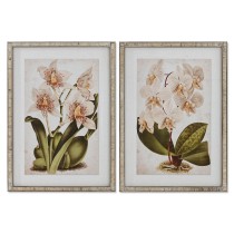 Bild Home ESPRIT Tropical Orchidee 50 x 2,5 x 70 cm (2 Stück)