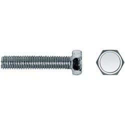 Schraubenkasten CELO 5 x 15 mm M5 x 15 mm Metrisches Gewinde 250 Stück Verzinkt