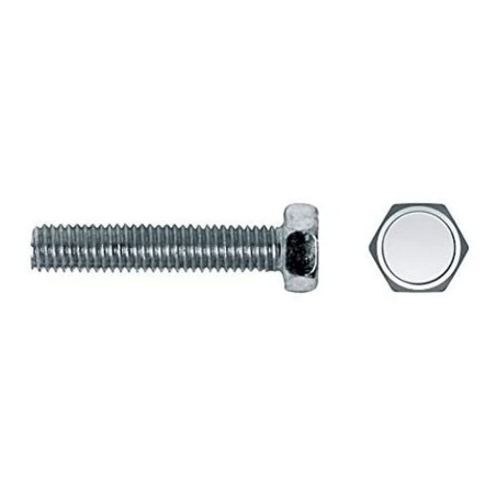 Boîte à vis CELO 6 x 10 mm M6 x 10 mm Vis à métaux 250 Unités zingage