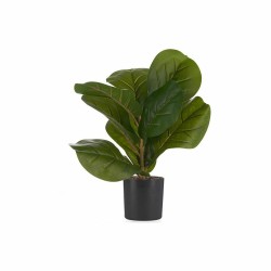 Plante décorative 9,5 x 42 x 9,5 cm Plastique 6 Unités