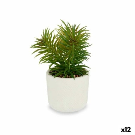 Plante décorative Blanc Vert (14 x 20 x 14 cm) (12 Unités)