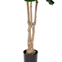 Plante décorative Polyuréthane Ciment Ficus 175 cm