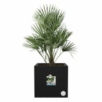 Pot Elho Noir Ø 29 cm Plastique Carré Moderne