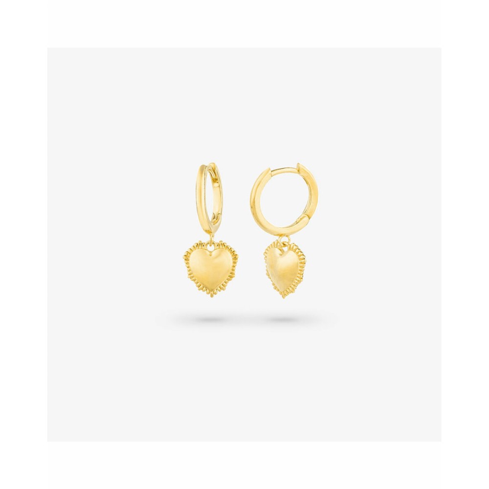Damenohrringe Radiant RY000056 Edelstahl 2,5 cm