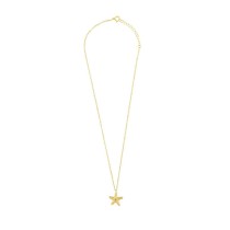 Collier Femme Radiant RY000140 45 cm