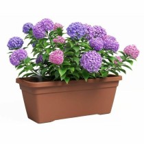 Plant pot Artevasi Brown 24,3 x 22 cm Plastic Rectangular