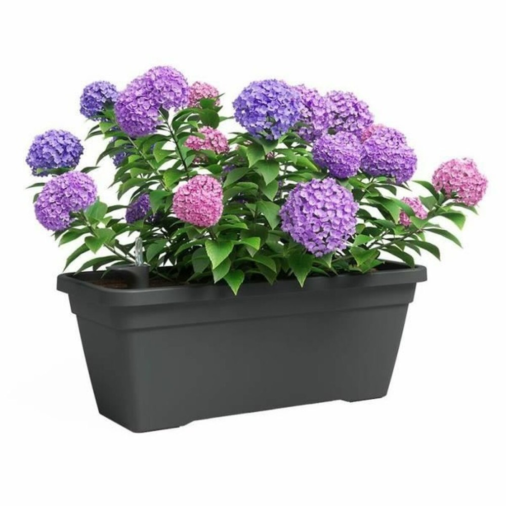 Blumentopf Artevasi 77,9 x 24 x 22 cm Anthrazit