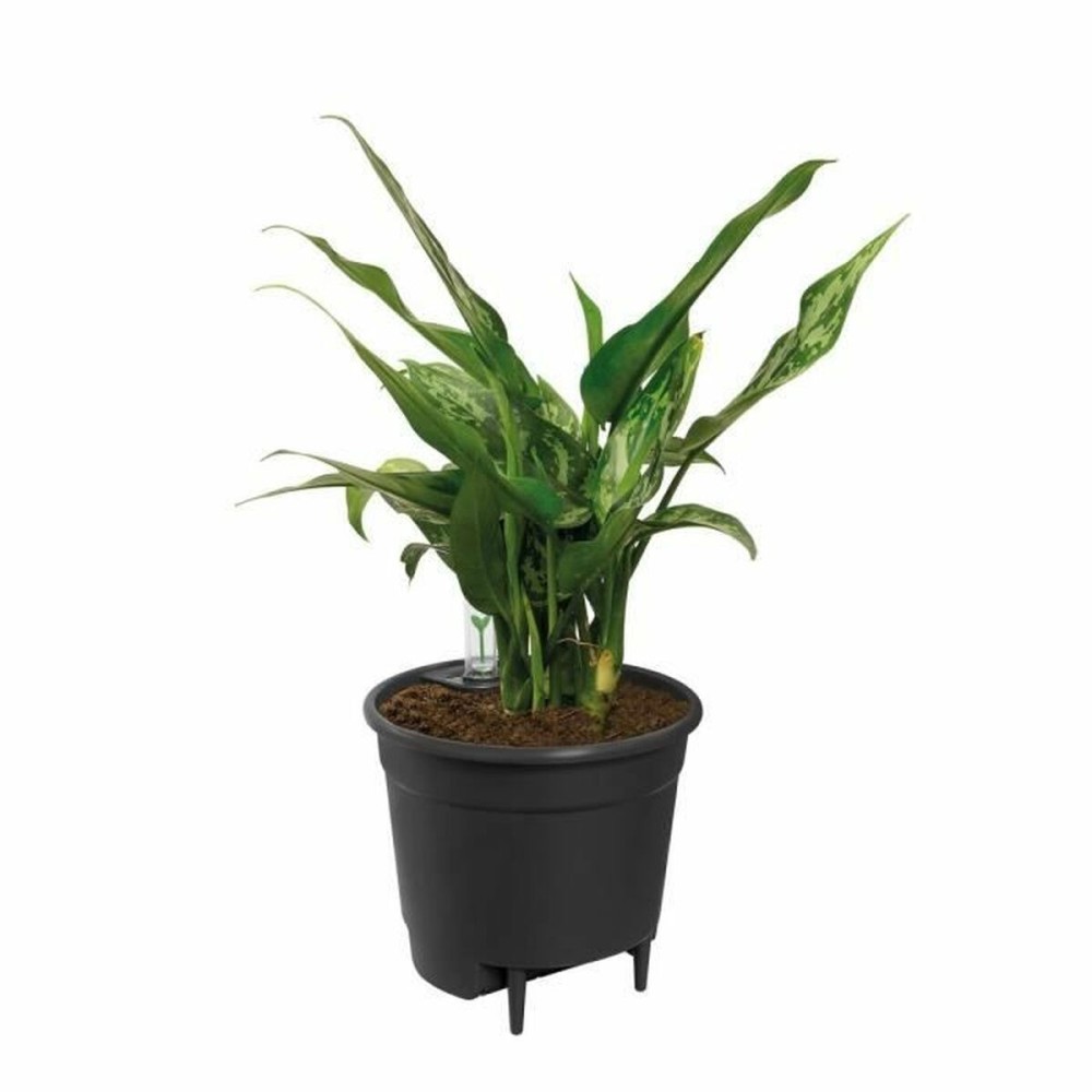 Pot Elho Noir polypropylène Rond Moderne Ø 21 cm 21 cm