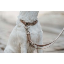Collier pour Chien Hunter Inari Beige XL 45-65 cm