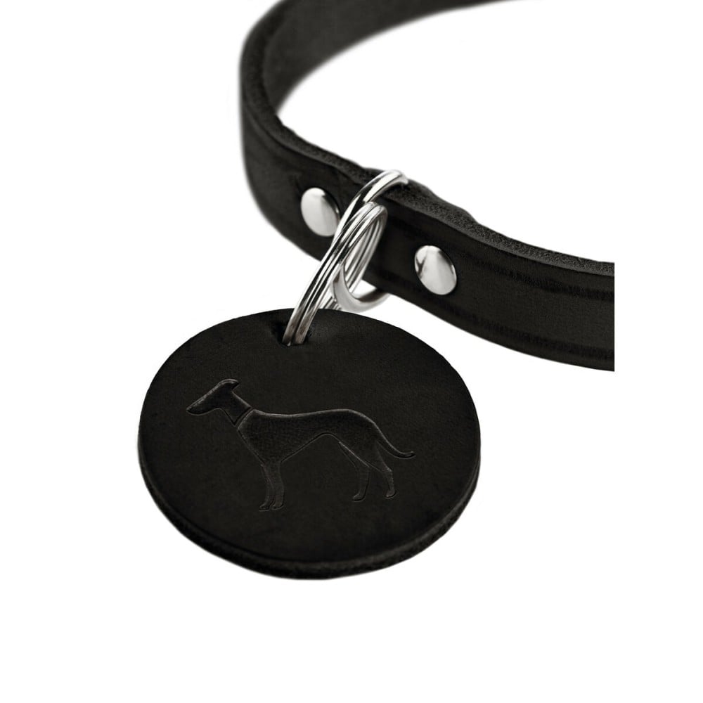 Collier pour Chien Hunter Aalborg Noir XS 24-29 cm