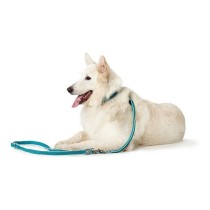 Dog Lead Hunter HILO Turquoise 200 cm