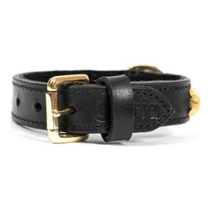 Hundehalsband Gloria Duna Schwarz Gold 50 cm (50 x 2,5 cm)