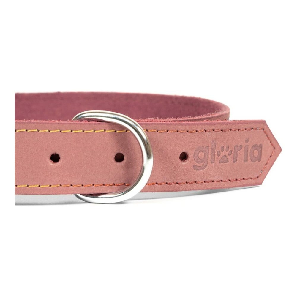 Collier pour Chien Gloria Oasis Rose (55 x 2,5 cm)