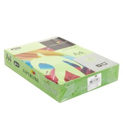 Printer Paper Fabrisa Green Din A4 500 Sheets