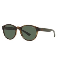 Herrensonnenbrille Ralph Lauren PH4176-500371 Ø 51 mm