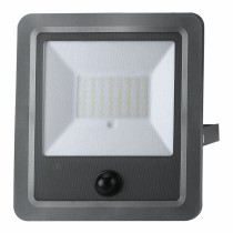 Floodlight/Projector Light EDM 31862 100 W 1200 Lm Solar Movement Sensor (6500 K)