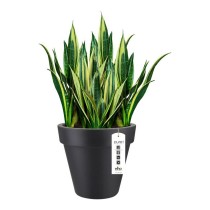 Plant pot Elho 8403604042500 Anthracite Ø 40 cm