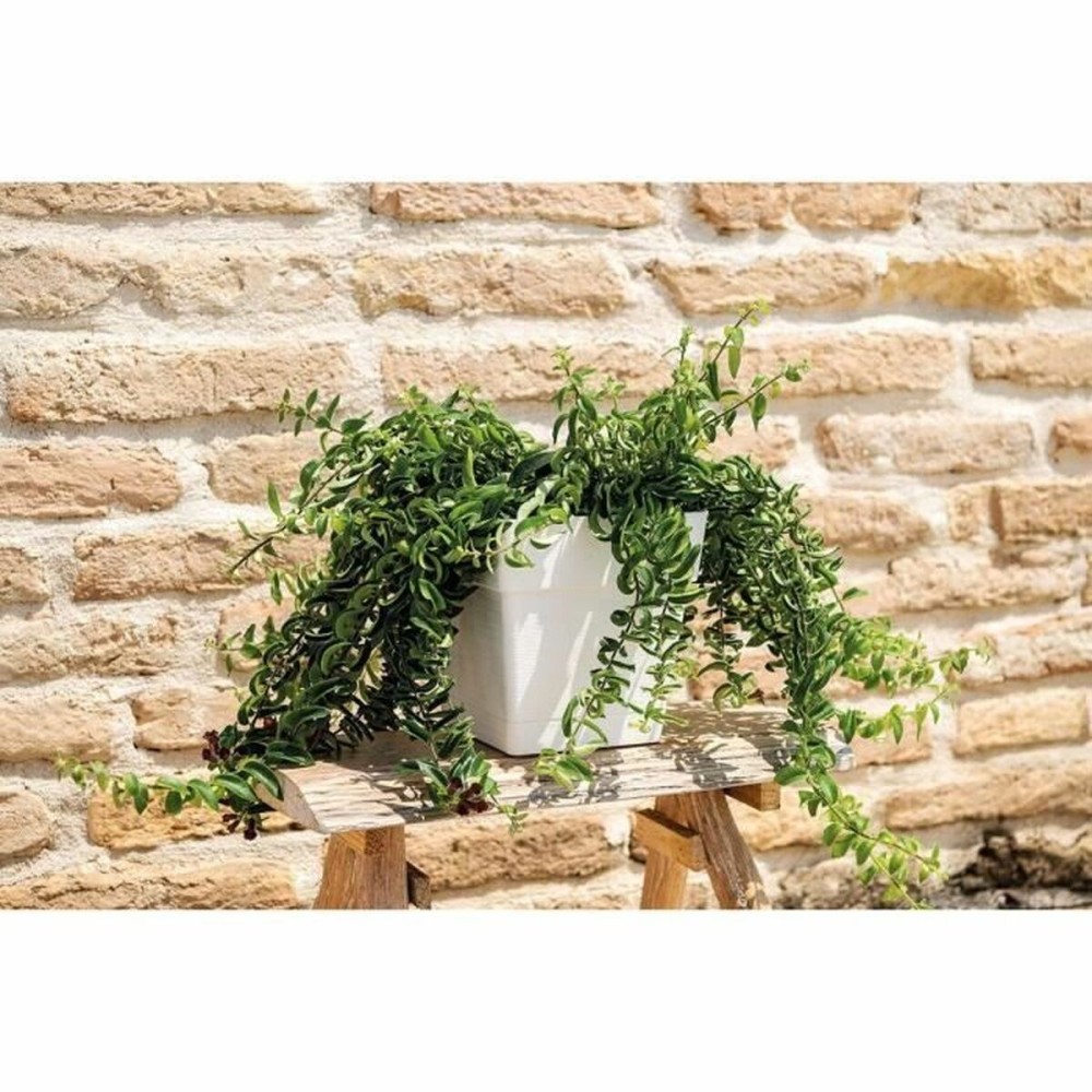 Plant pot Deroma White Ø 35 cm