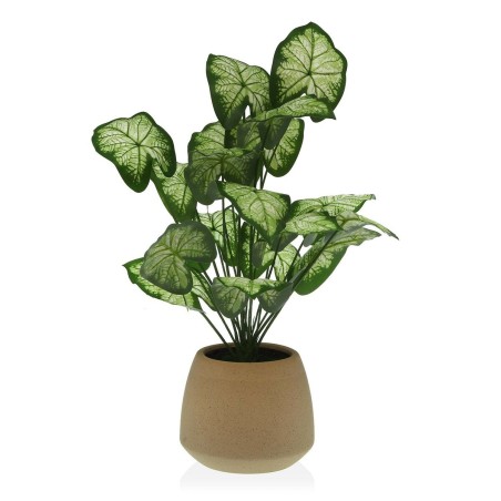 Plante décorative Versa 15 x 52 x 15 cm Ciment Plastique