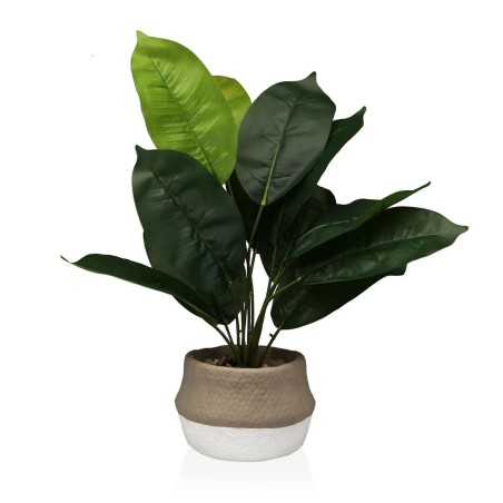 Decorative Plant Versa 15 x 43 x 15 cm Cement Plastic