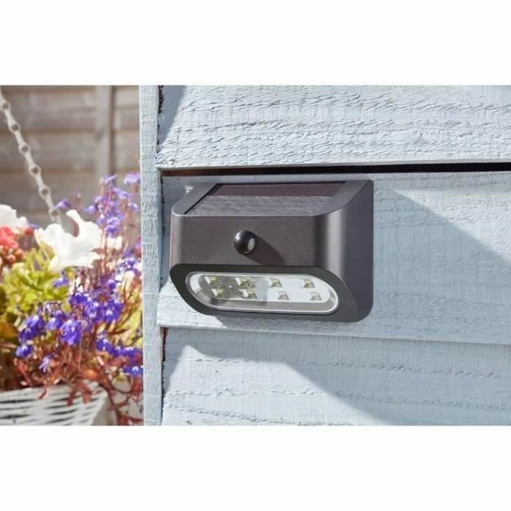 Applique Murale Smart Garden Sentinel Lumière solaire Noir 50 lm (2 Unités)