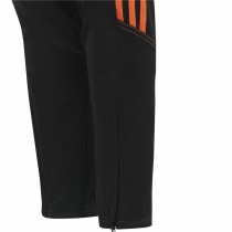 Kinder-Sporthosen Adidas Tiro 23 Club Schwarz