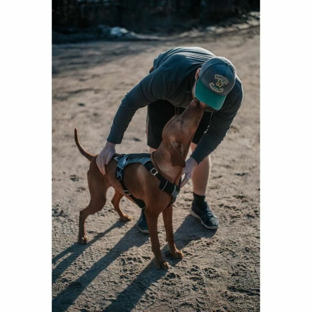 Harnais pour Chien Kurgo Noir