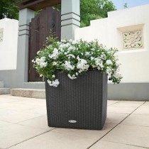 Plant pot Lechuza 50 x 50 x 50 cm Plastic