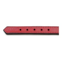 Collier pour Chien Gloria Rembourré Rouge (35 x 1,5 cm)