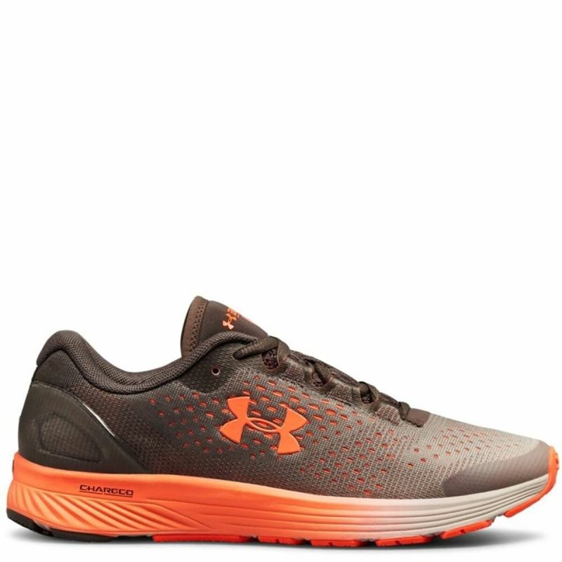 Chaussures de Running pour Adultes Under Armour Under Charged Bandit Femme Marron